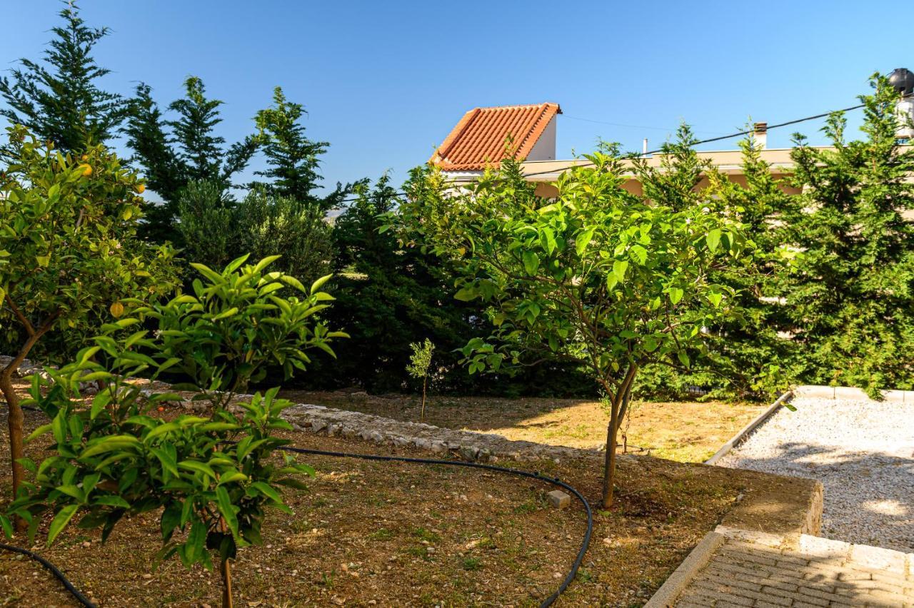 Minimal Studio In Nature, Exostis Nafplio Apartment Exterior photo