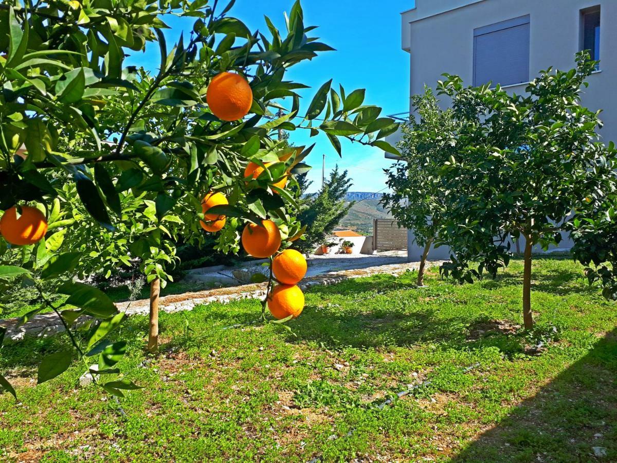 Minimal Studio In Nature, Exostis Nafplio Apartment Exterior photo